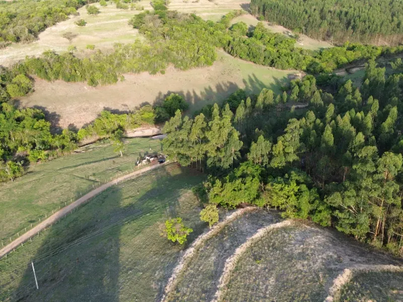 Sítio em Santo Antônio da Alegria/São Paulo — Ref WIUOQY — Imagem 13