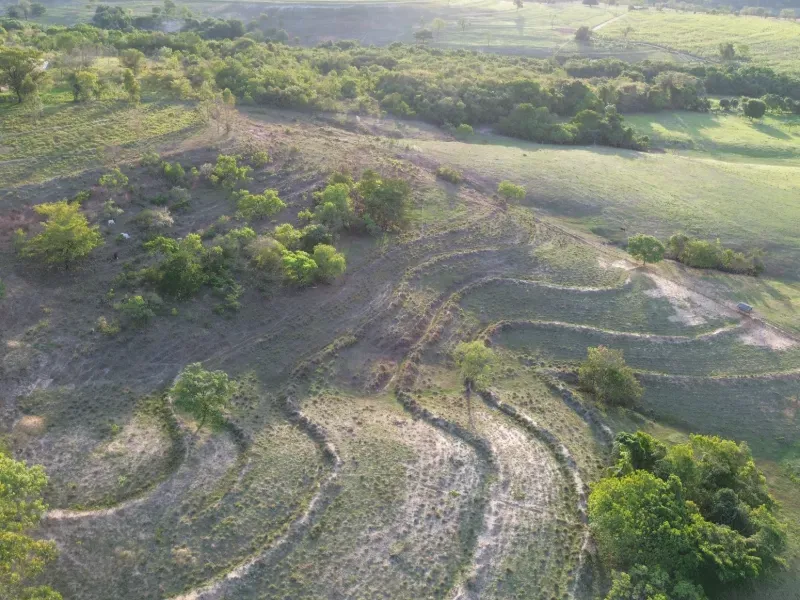 Sítio em Santo Antônio da Alegria/São Paulo — Ref WIUOQY — Imagem 19