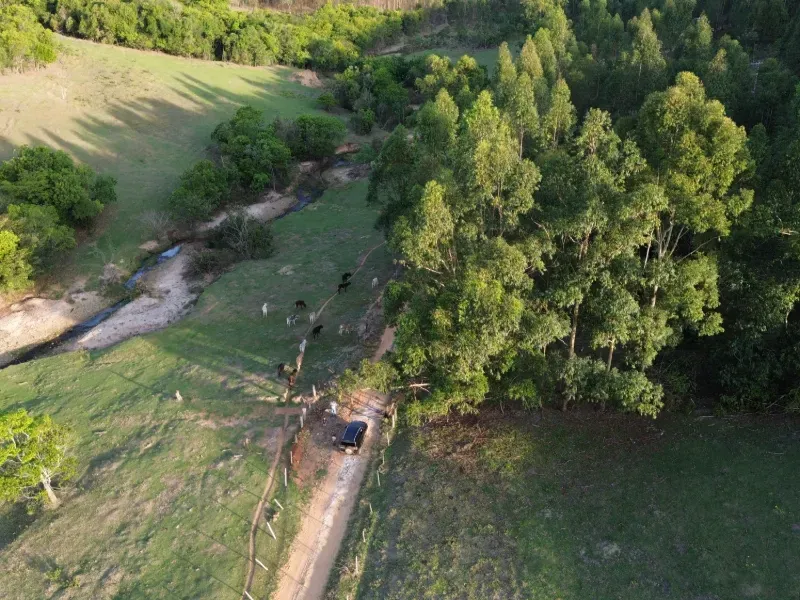 Sítio em Santo Antônio da Alegria/São Paulo — Ref WIUOQY — Imagem 20