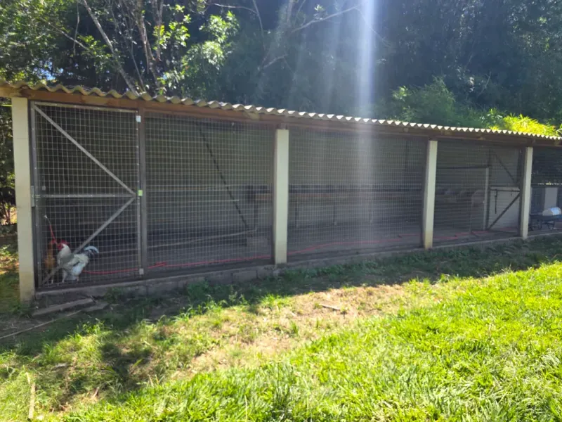 Sítio em Santo Antônio da Alegria/São Paulo — Ref WIUOQY — Imagem 38