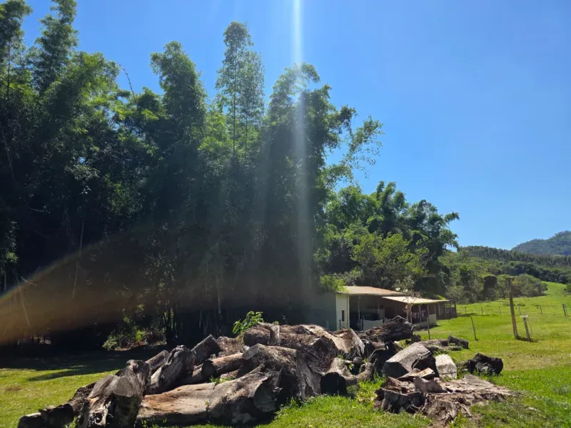 Sítio em Santo Antônio da Alegria/São Paulo — Ref WIUOQY — Imagem 41