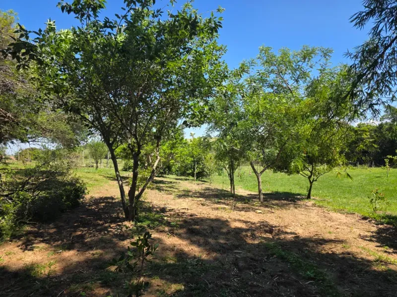 Sítio em Santo Antônio da Alegria/São Paulo — Ref WIUOQY — Imagem 66