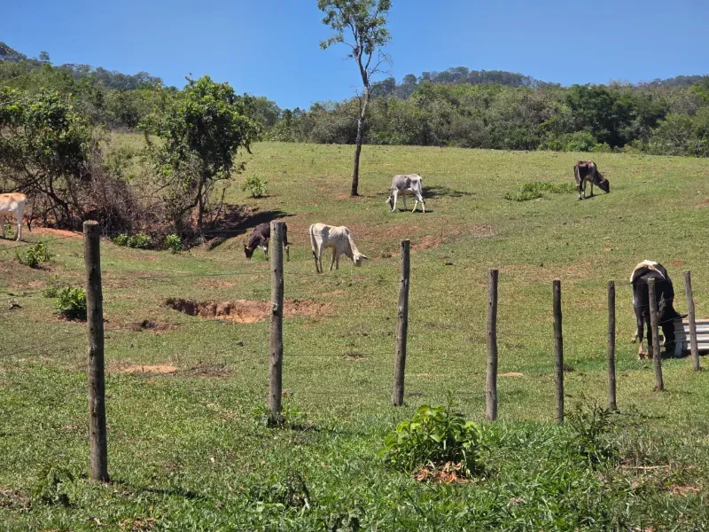 Sítio em Santo Antônio da Alegria/São Paulo — Ref WIUOQY — Imagem 4