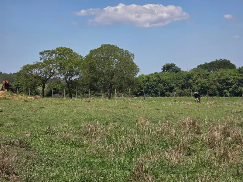 Sítio em Santo Antônio da Alegria/São Paulo — Ref WIUOQY — Imagem 7