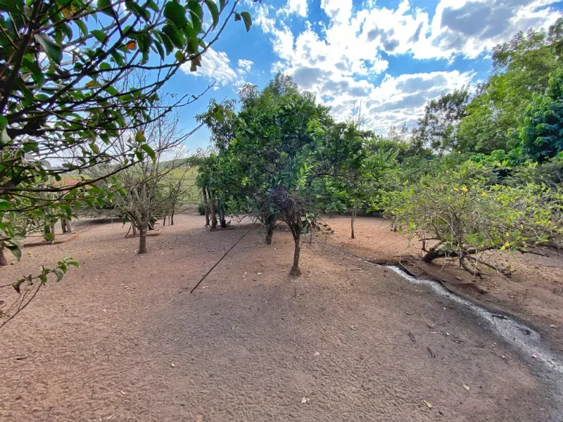 Chácara em Altinópolis/São Paulo — Ref DAMY1P — Imagem 16