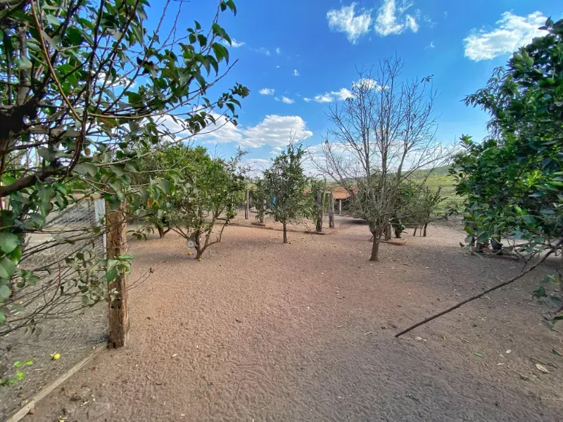 Chácara em Altinópolis/São Paulo — Ref DAMY1P — Imagem 17