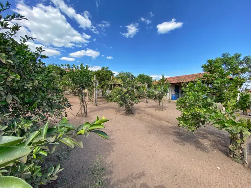 Chácara em Altinópolis/São Paulo — Ref DAMY1P — Imagem 19