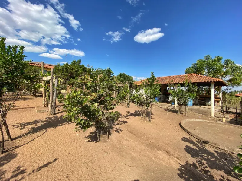 Chácara em Altinópolis/São Paulo — Ref DAMY1P — Imagem 21