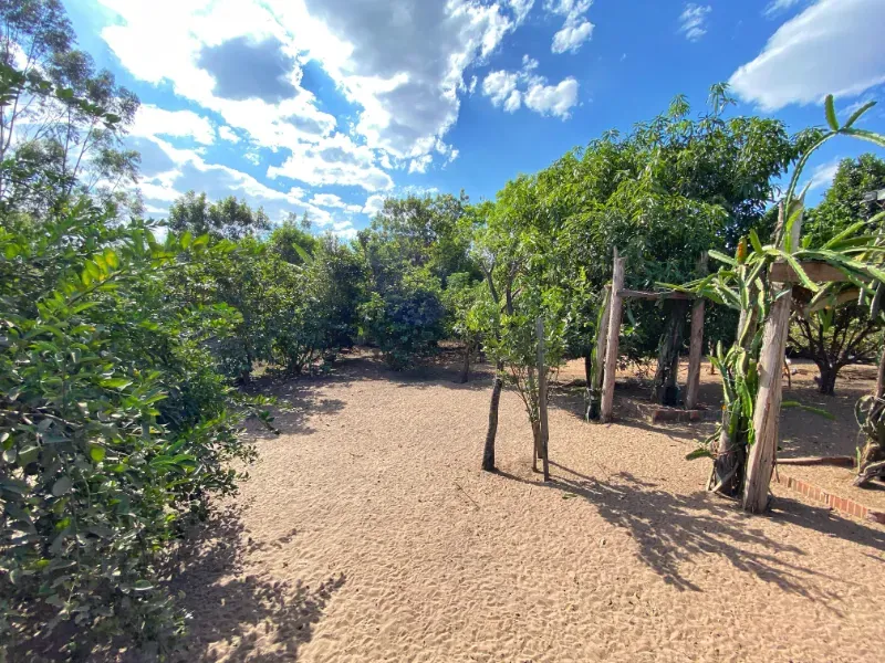 Chácara em Altinópolis/São Paulo — Ref DAMY1P — Imagem 22