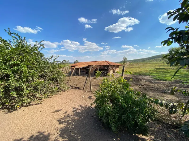 Chácara em Altinópolis/São Paulo — Ref DAMY1P — Imagem 23