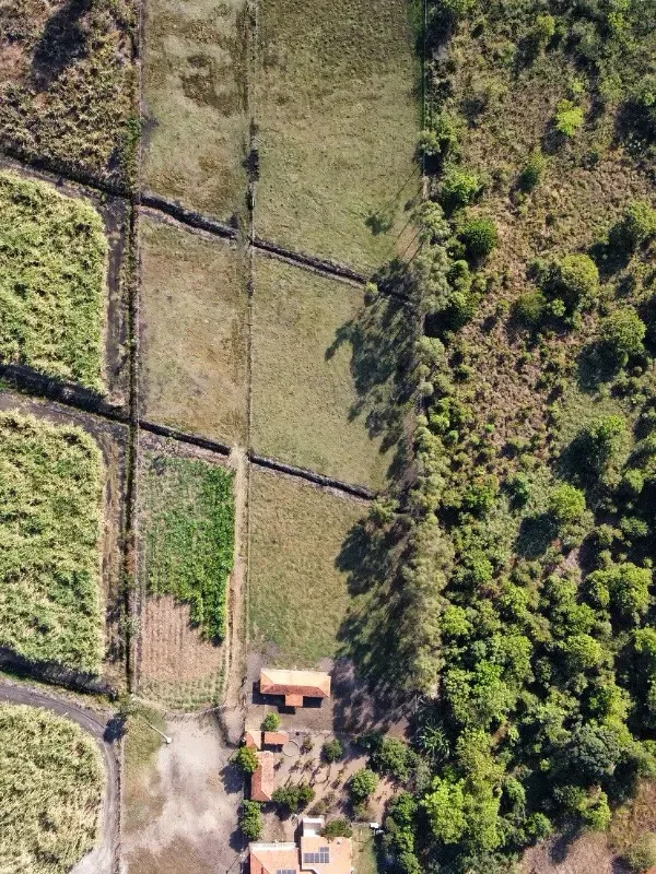 Chácara em Altinópolis/São Paulo — Ref DAMY1P — Imagem 58