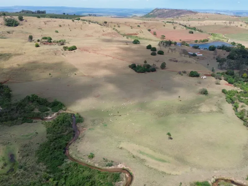Fazenda em Cajuru/São Paulo — Ref C12VRO — Imagem 11