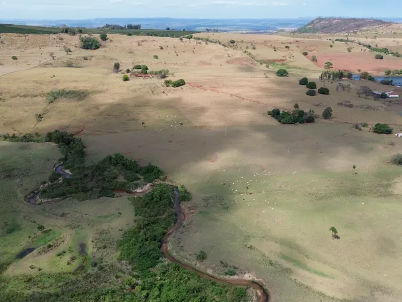 Fazenda em Cajuru/São Paulo — Ref C12VRO — Imagem 13