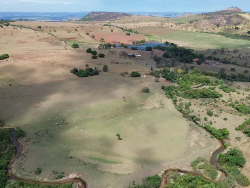 Fazenda em Cajuru/São Paulo — Ref C12VRO — Imagem 8