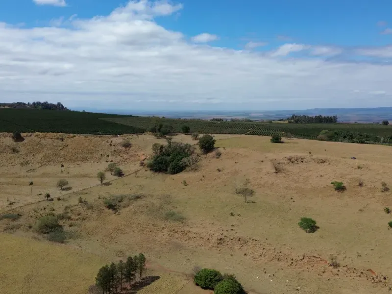 Fazenda em Cajuru/São Paulo — Ref C12VRO — Imagem 20