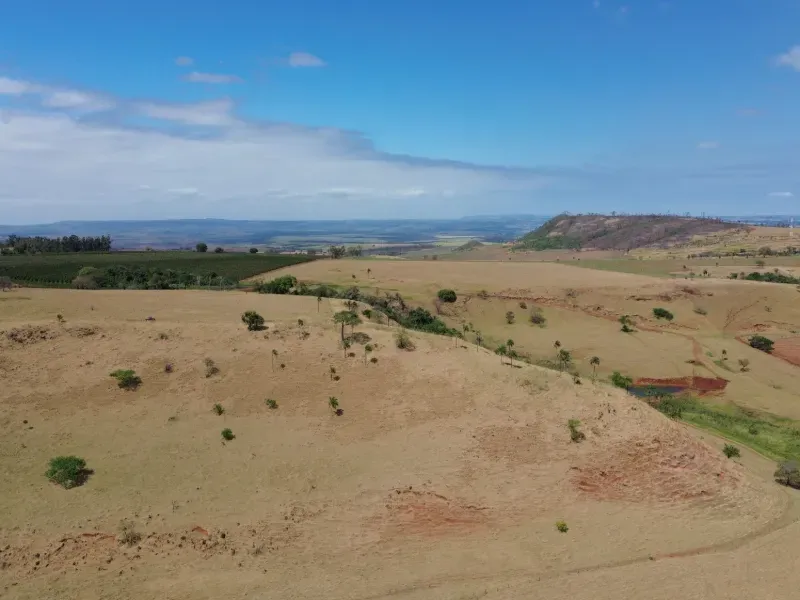 Fazenda em Cajuru/São Paulo — Ref C12VRO — Imagem 21