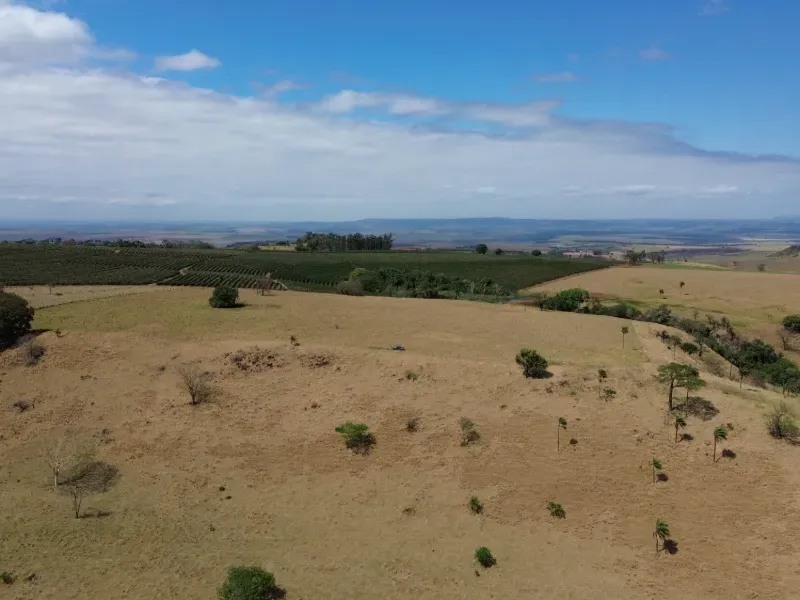 Fazenda em Cajuru/São Paulo — Ref C12VRO — Imagem 25