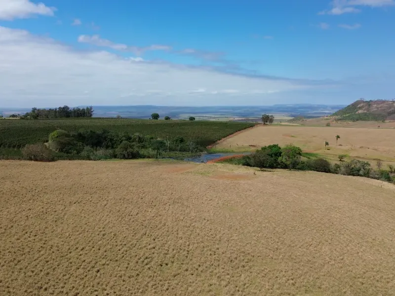 Fazenda em Cajuru/São Paulo — Ref C12VRO — Imagem 31