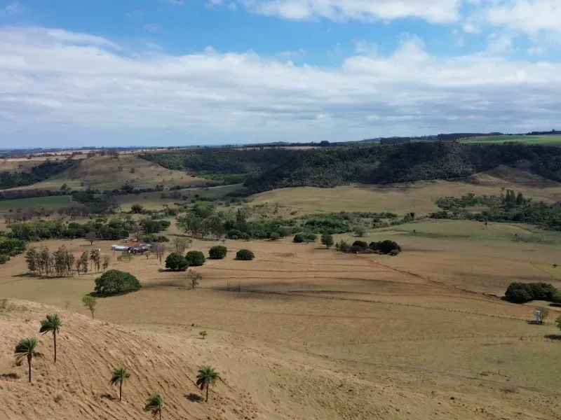 Fazenda em Cajuru/São Paulo — Ref C12VRO — Imagem 32