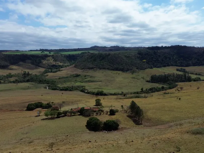 Fazenda em Cajuru/São Paulo — Ref C12VRO — Imagem 33