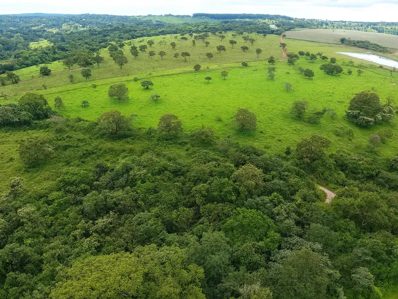 Fazenda em Abadia de Goiás/Goiás — Ref ENHIE4 — Imagem 6