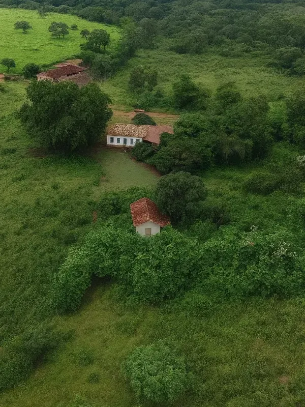 Fazenda em Abadia de Goiás/Goiás — Ref ENHIE4 — Imagem 4