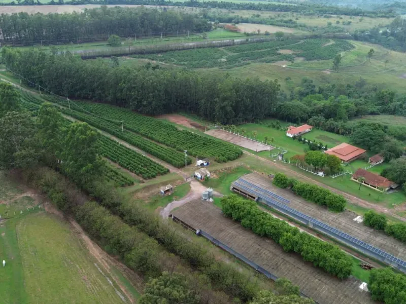 Sítio em Cajuru/São Paulo — Ref VIE5OZ — Imagem 6