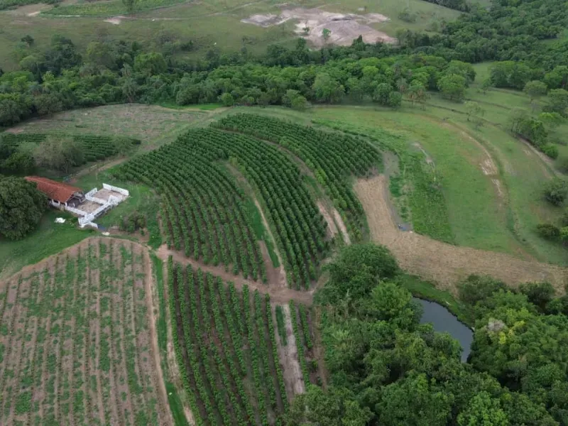 Sítio em Cajuru/São Paulo — Ref VIE5OZ — Imagem 14