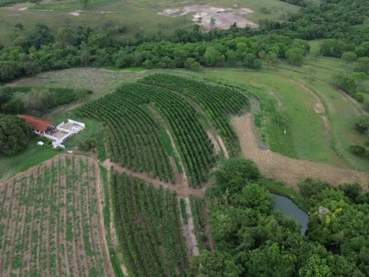 Sítio em Cajuru/São Paulo — Ref VIE5OZ — Imagem 15