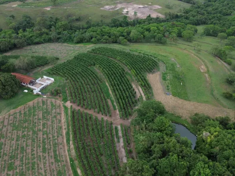 Sítio em Cajuru/São Paulo — Ref VIE5OZ — Imagem 16