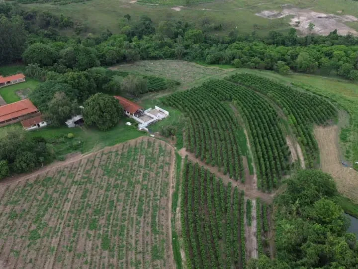 Sítio em Cajuru/São Paulo — Ref VIE5OZ — Imagem 17