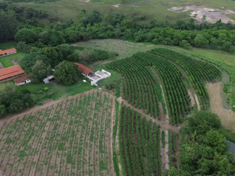 Sítio em Cajuru/São Paulo — Ref VIE5OZ — Imagem 22