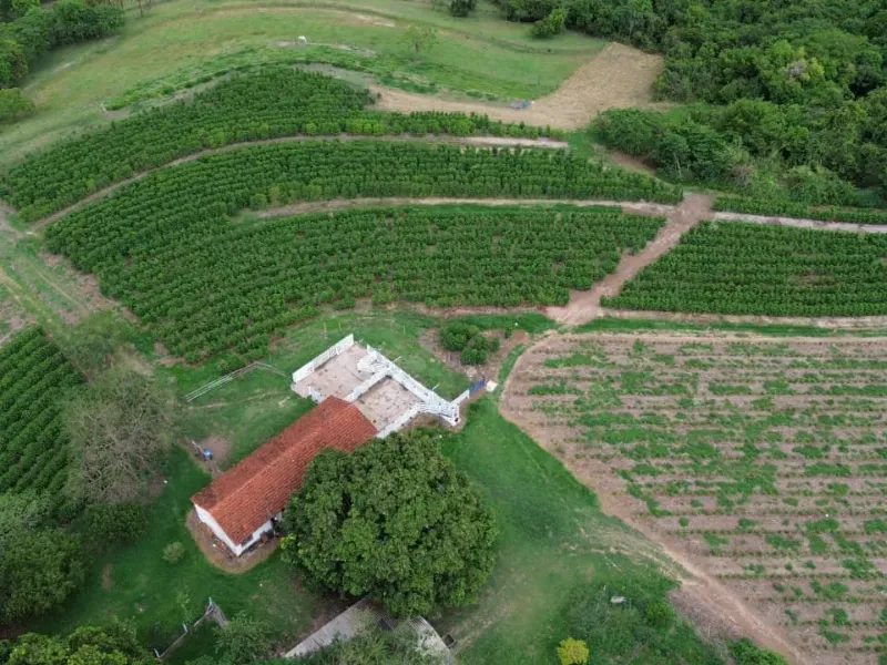 Sítio em Cajuru/São Paulo — Ref VIE5OZ — Imagem 43