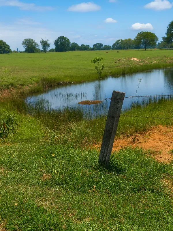 Sítio em São Miguel do Guaporé/Rondônia — Ref 9SE2MA — Imagem 2