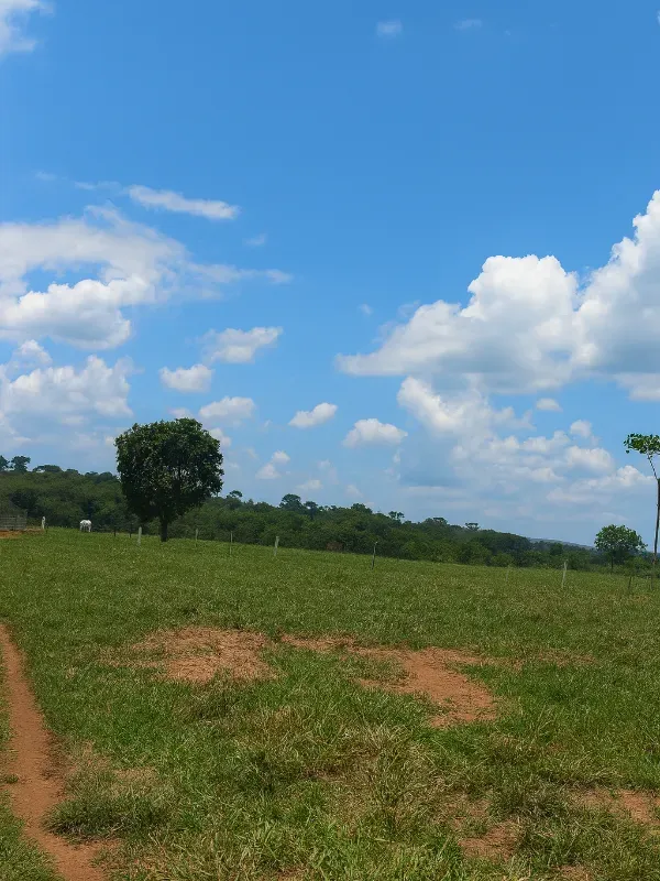 Sítio em São Miguel do Guaporé/Rondônia — Ref 9SE2MA — Imagem 11