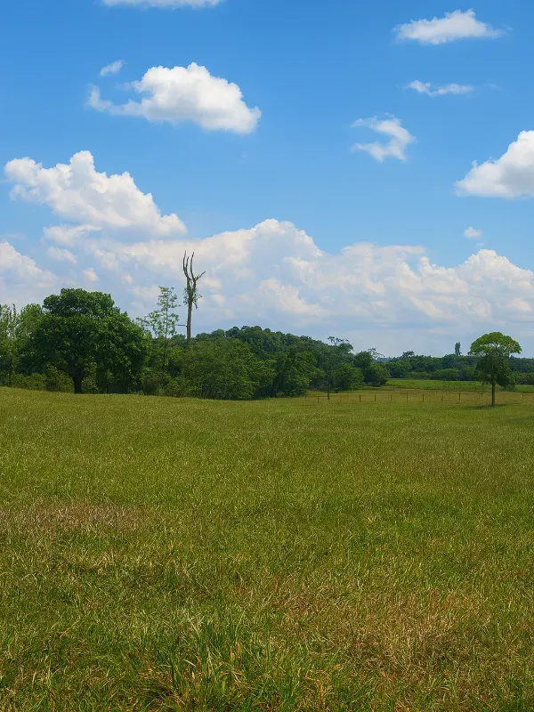 Sítio em São Miguel do Guaporé/Rondônia — Ref 9SE2MA — Imagem 12
