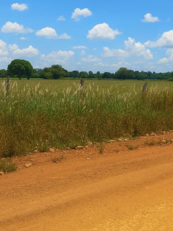 Sítio em São Miguel do Guaporé/Rondônia — Ref 9SE2MA — Imagem 14
