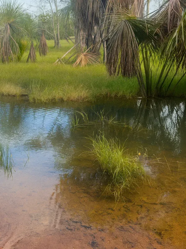 Sítio em São Miguel do Guaporé/Rondônia — Ref 9SE2MA — Imagem 3