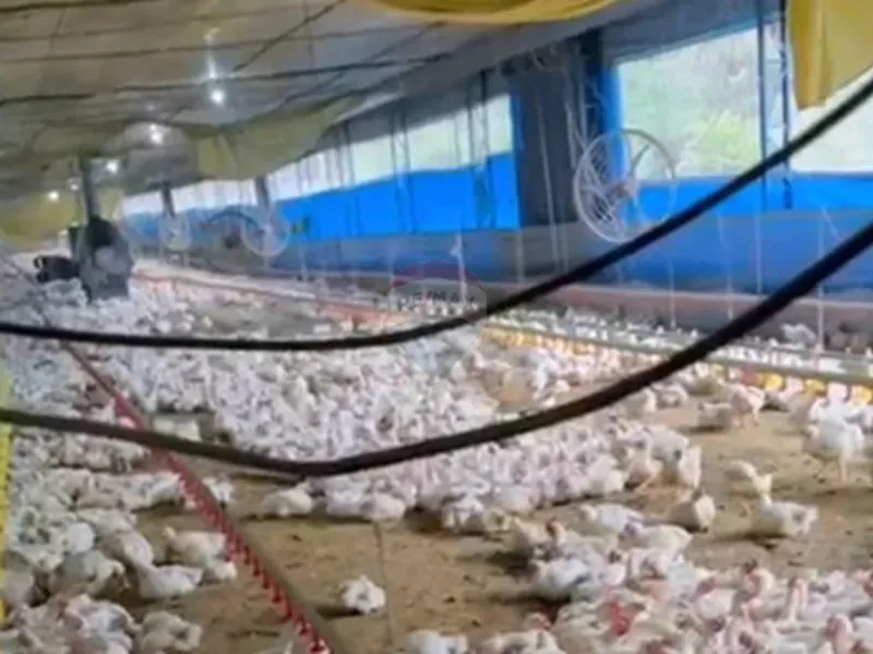 Sítio em Bragança Paulista/São Paulo — Ref SC8G3K — Imagem 8