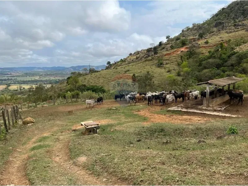 Sítio em Bragança Paulista/São Paulo — Ref SC8G3K — Imagem 10