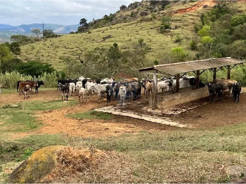 Sítio em Bragança Paulista/São Paulo — Ref SC8G3K — Imagem 11