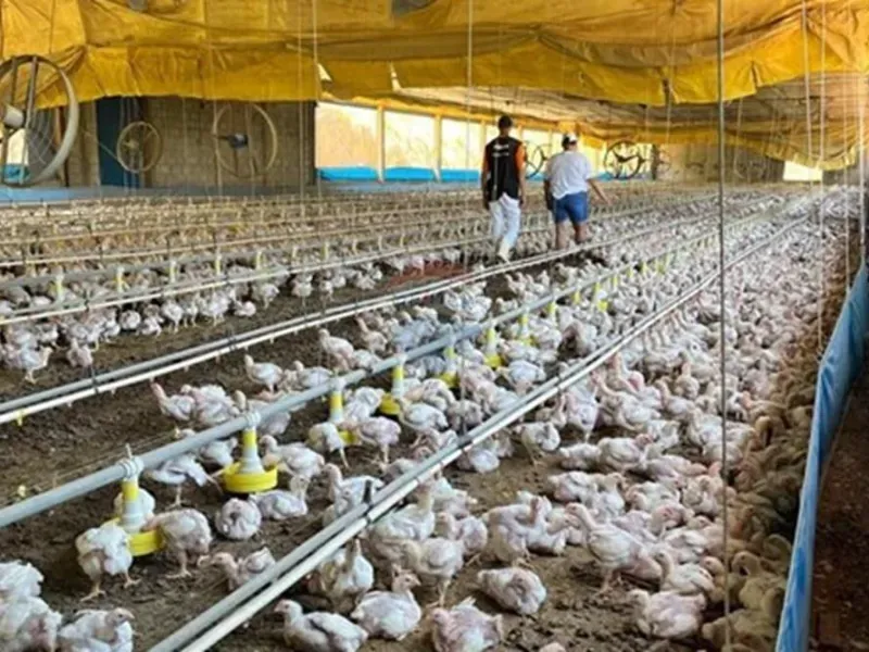 Sítio em Bragança Paulista/São Paulo — Ref SC8G3K — Imagem 9