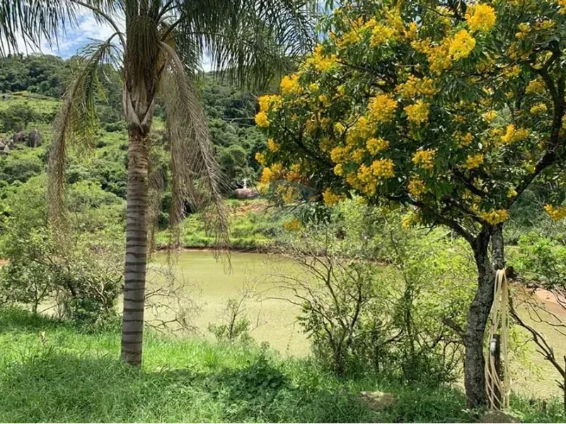 Sítio em Bragança Paulista/São Paulo — Ref SC8G3K — Imagem 13