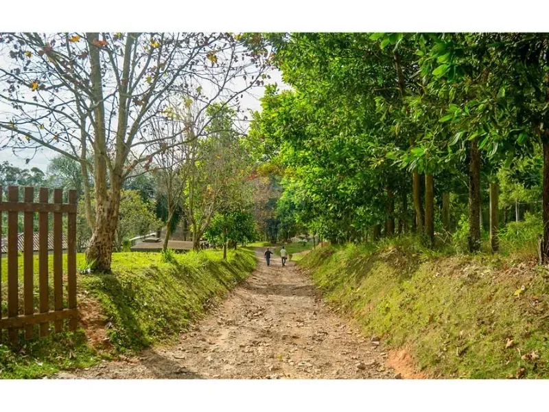 Fazenda em Atibaia/São Paulo — Ref M8APNK — Imagem 25