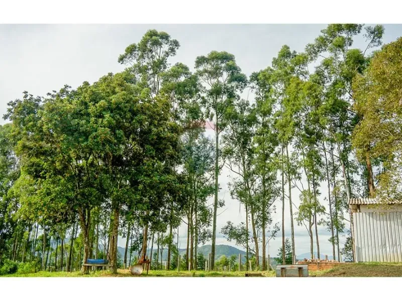 Fazenda em Atibaia/São Paulo — Ref M8APNK — Imagem 23