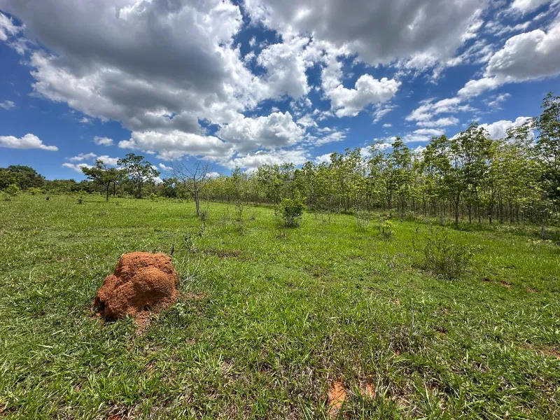 Fazenda em Abadiânia/Goiás — Ref S83BLW — Imagem 4