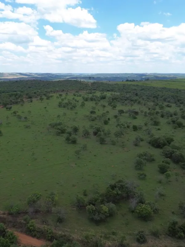 Fazenda em Abadiânia/Goiás — Ref S83BLW — Imagem 9