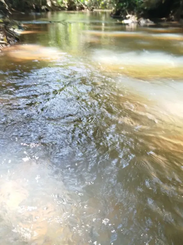 Fazenda em Pirenópolis/Goiás — Ref FQJL9X — Imagem 10