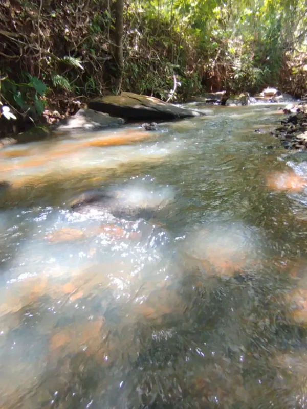 Fazenda em Pirenópolis/Goiás — Ref FQJL9X — Imagem 12