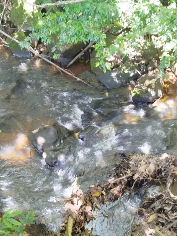 Fazenda em Pirenópolis/Goiás — Ref FQJL9X — Imagem 13